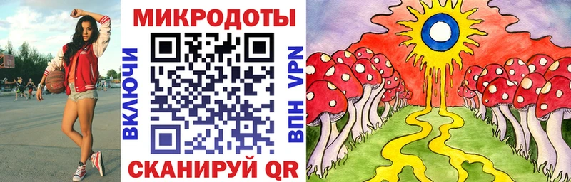 Псилоцибиновые грибы Cubensis  ссылка на мегу как зайти  Приволжск  наркотики 
